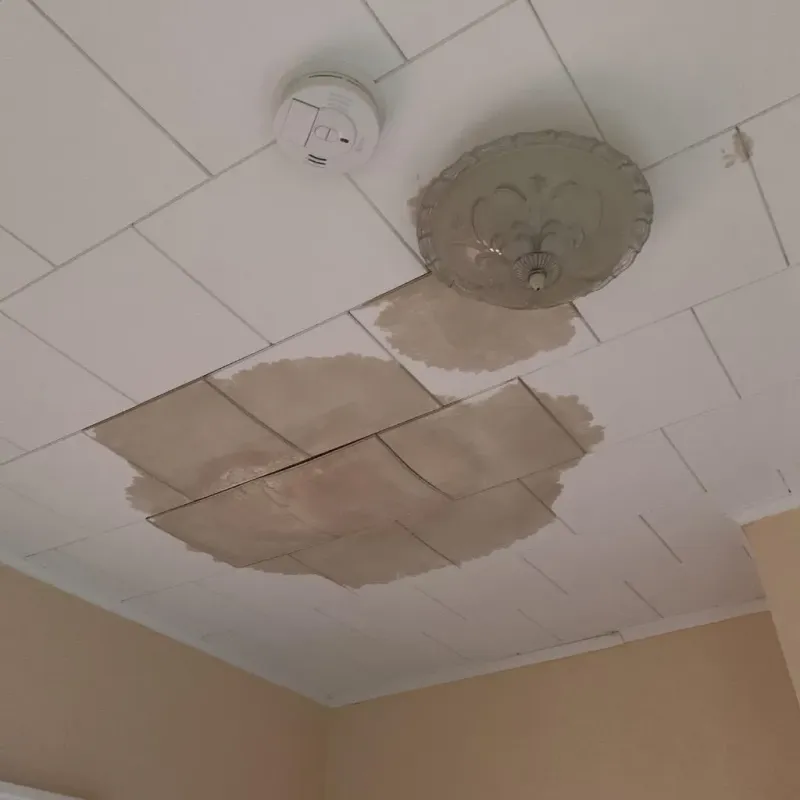 Ceiling Water Damage Repair in Oakland, PA