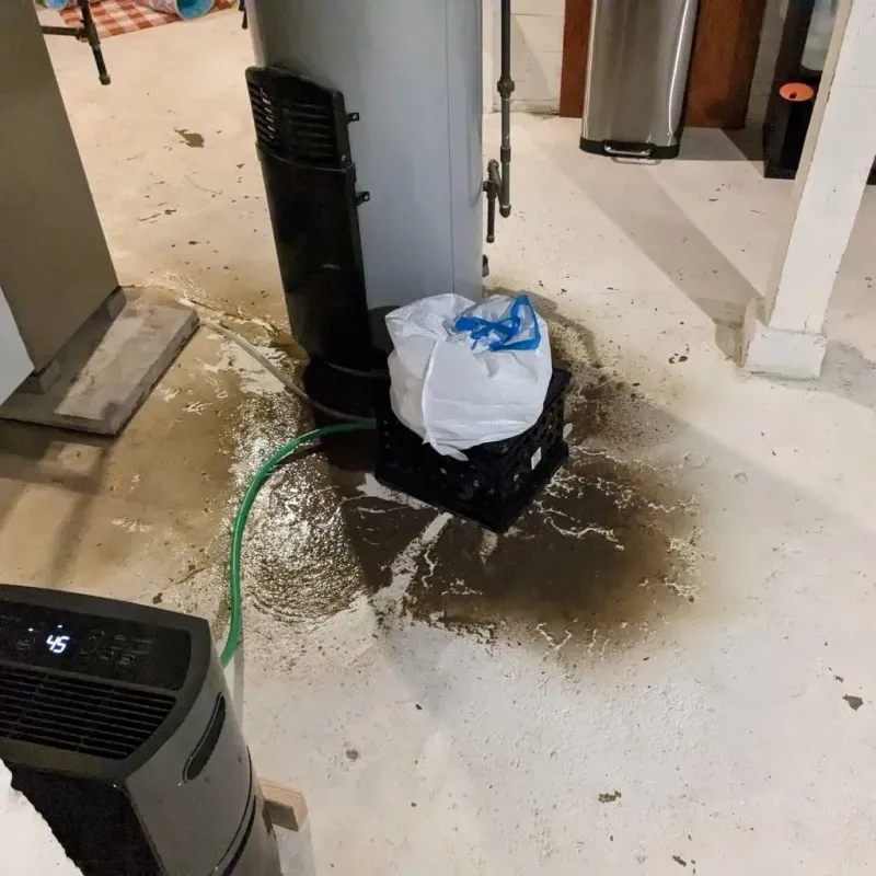 Sewage Backup Cleanup Service in Oakland, PA